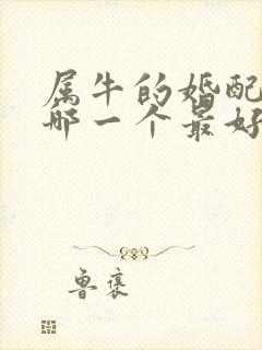 属牛的婚配属相哪一个最好封面