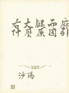 右大腿面麻木是什么原因引起的封面