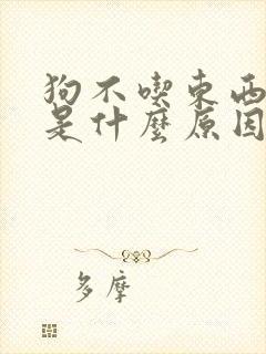 狗不吃东西还吐是什么原因