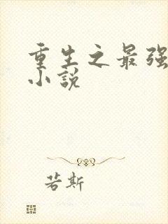 重生之最强剑神小说