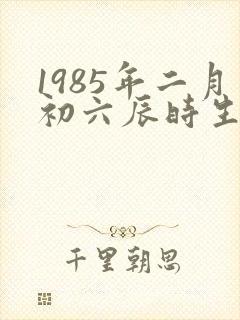 1985年二月初六辰时生人的命运