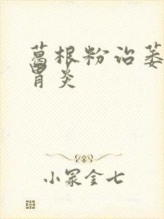 葛根粉治萎缩性胃炎