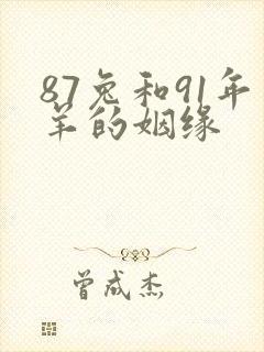 87兔和91年羊的姻缘