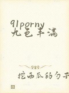 91porny九色丰满