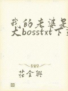 我的老婆是重生大bosstxt下载