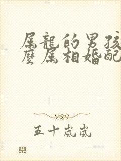 属龙的男孩和什么属相婚配最好呢