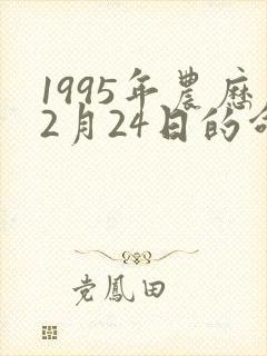 1995年农历2月24日的命运怎么样