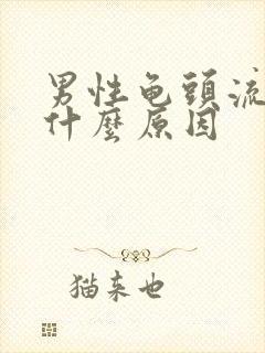 男性龟头流黄脓什么原因