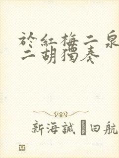 于红梅二泉映月二胡独奏