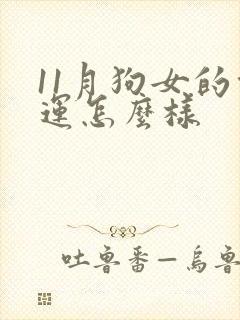 11月狗女的命运怎么样