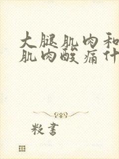 大腿肌肉和小腿肌肉酸痛什么原因