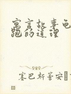 寓言故事龟兔赛跑的道理