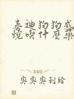 泰迪狗狗感冒发烧吃什么药