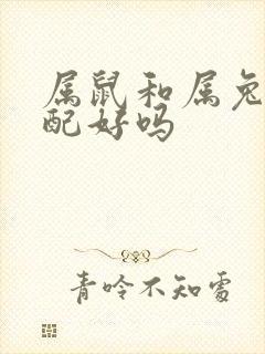 属鼠和属兔的婚配好吗