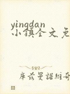 yingdan小镇全文免费阅读笔趣阁封面