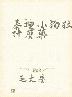 泰迪小狗拉肚吃什么药