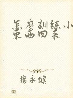 怎么训练小狗捡东西回来