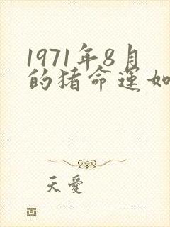 1971年8月的猪命运如何封面