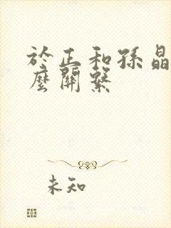 于正和孙晶晶什么关系