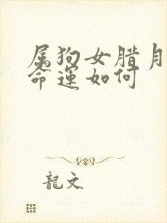 属狗女腊月出生命运如何