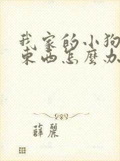 我家的小狗不吃东西怎么办