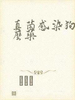 真菌感染狗吃什么药