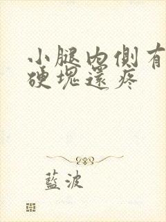 小腿内侧有疙瘩硬块还疼