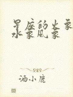 星座的火象土象水象风象