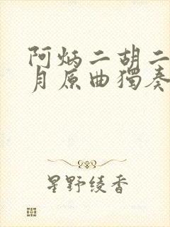 阿炳二胡二泉映月原曲独奏