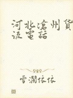 河北沧州货运物流电话