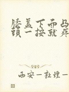 膝盖下面凸出骨头一按就疼