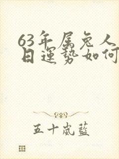 63年属兔人今日运势如何