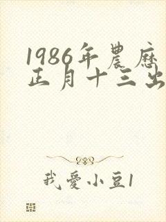1986年农历正月十三出生的人命运如何