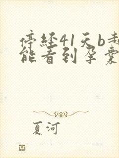 停经41天b超能看到孕囊吗