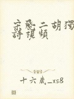 宋飞二胡独奏春诗视频