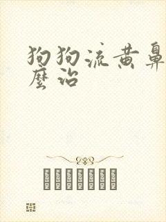 狗狗流黄鼻涕怎么治