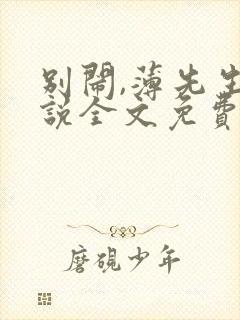 别闹,薄先生小说全文免费阅读