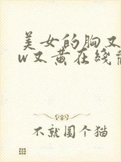 美女的胸又www又黄在线观看