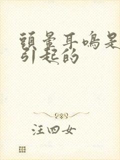 头晕耳鸣是怎么引起的