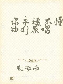 你永远不懂我歌曲dj原唱