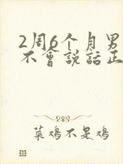 2周6个月男宝不会说话正常吗封面