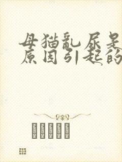 母猫乱尿是什么原因引起的封面