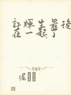 许辉生最后和谁在一起了