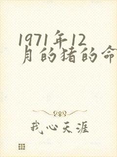 1971年12月的猪的命运如何