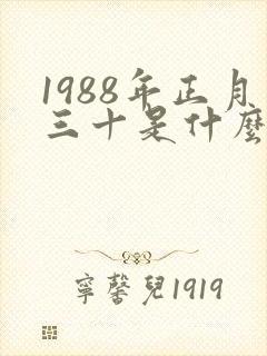 1988年正月三十是什么命