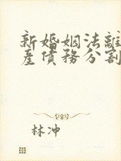 新婚姻法离婚财产债务分割