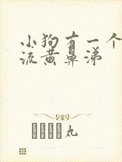 小狗有一个鼻孔流黄鼻涕