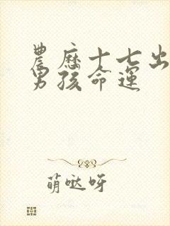 农历十七出生的男孩命运