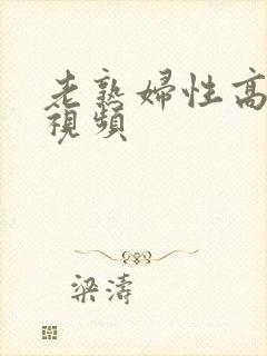 老熟妇性高潮e视频