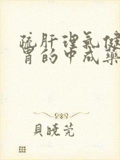 疏肝理气健脾养胃的中成药有什么特效药呢封面